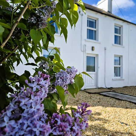 The Alpaca Farmhouse With Hot Tub And Alpaca Experience Included Dromara Eksteriør bilde