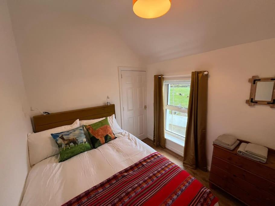The Alpaca Farmhouse With Hot Tub And Alpaca Experience Included Dromara Eksteriør bilde