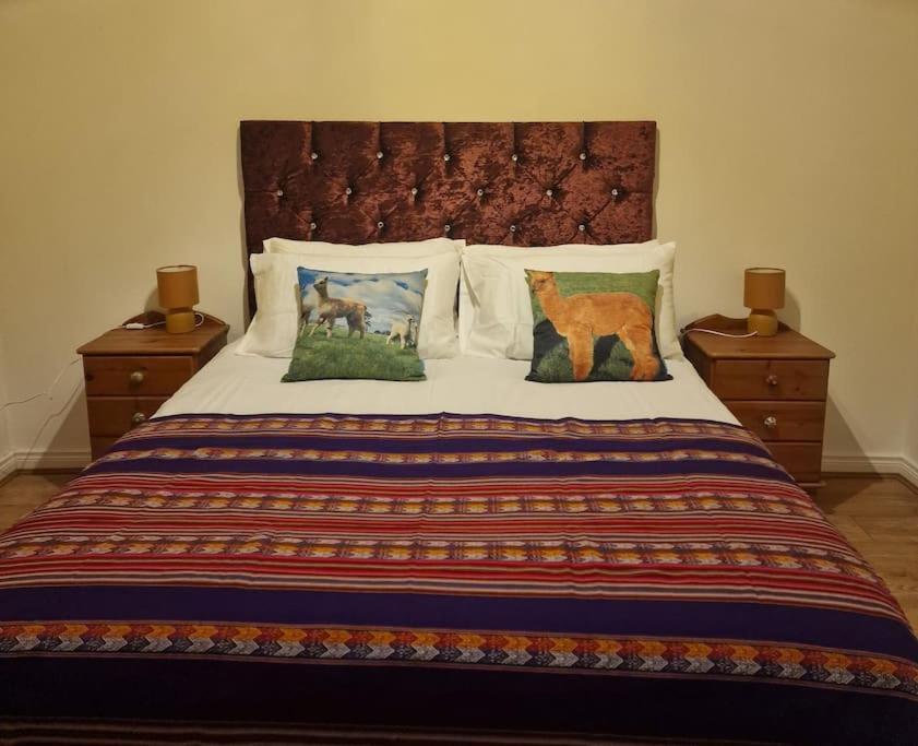 The Alpaca Farmhouse With Hot Tub And Alpaca Experience Included Dromara Eksteriør bilde