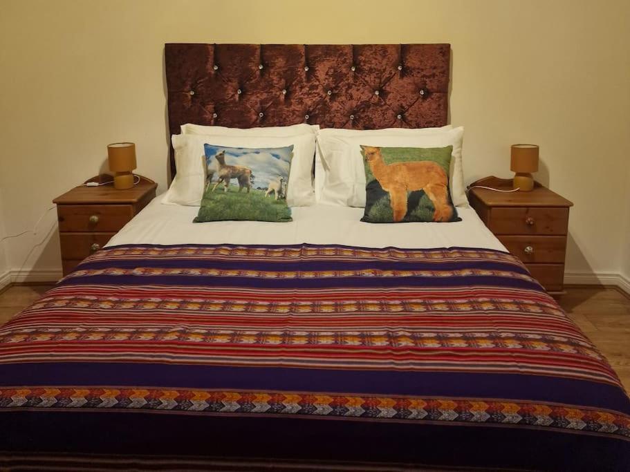 The Alpaca Farmhouse With Hot Tub And Alpaca Experience Included Dromara Eksteriør bilde