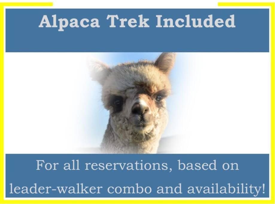 The Alpaca Farmhouse With Hot Tub And Alpaca Experience Included Dromara Eksteriør bilde