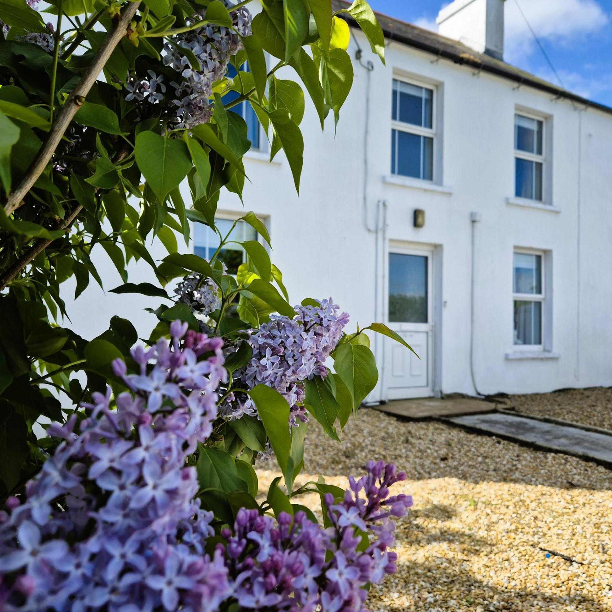 The Alpaca Farmhouse With Hot Tub And Alpaca Experience Included Dromara Eksteriør bilde